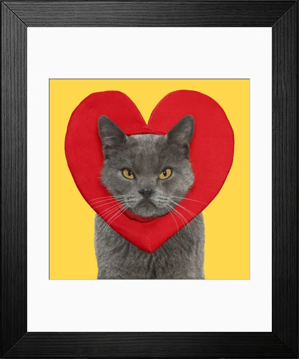 Framed Print : Picture No. 12020213 Framed Print : Picture No. 12020213