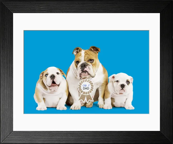 Framed Print : Picture No. 12020214 Framed Print : Picture No. 12020214