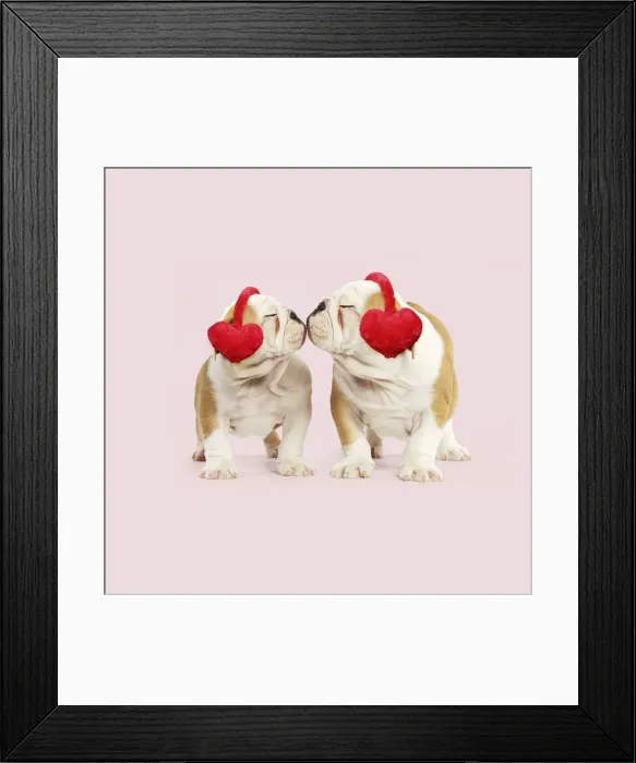 Framed Print : Picture No. 12020217 Framed Print : Picture No. 12020217