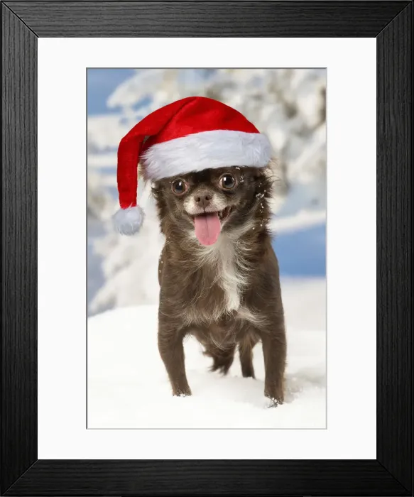 Framed Print : Picture No. 12020218 Framed Print : Picture No. 12020218