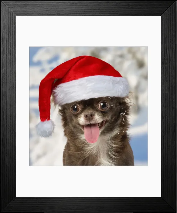 Framed Print : Picture No. 12020219 Framed Print : Picture No. 12020219