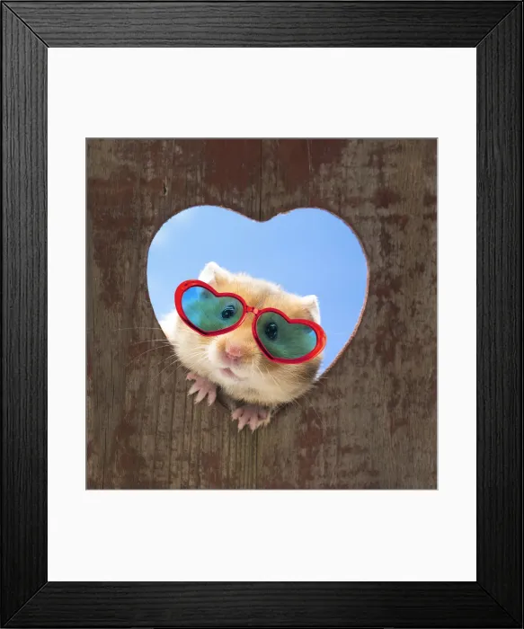 Framed Print : Picture No. 12020220 Framed Print : Picture No. 12020220