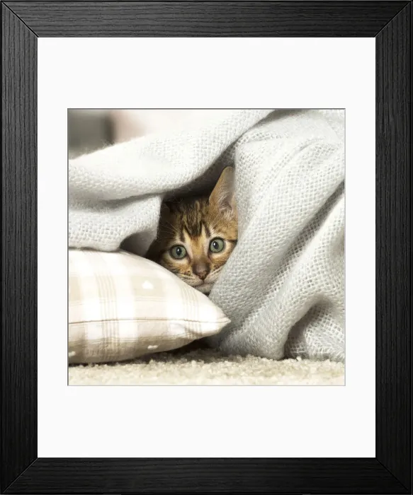 Framed Print : Picture No. 12020263 Framed Print : Picture No. 12020263