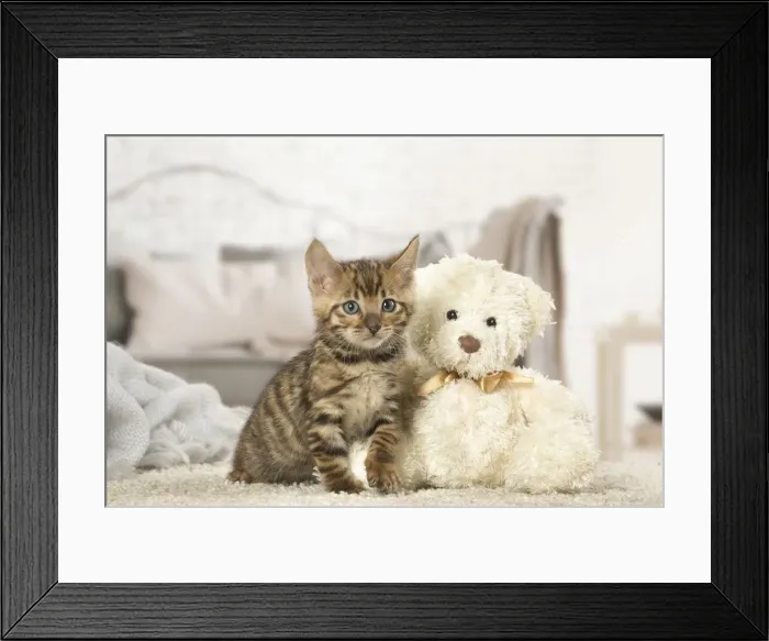 Framed Print : Picture No. 12020277 Framed Print : Picture No. 12020277