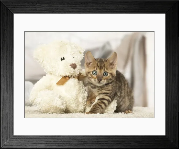 Framed Print : Picture No. 12020278 Framed Print : Picture No. 12020278