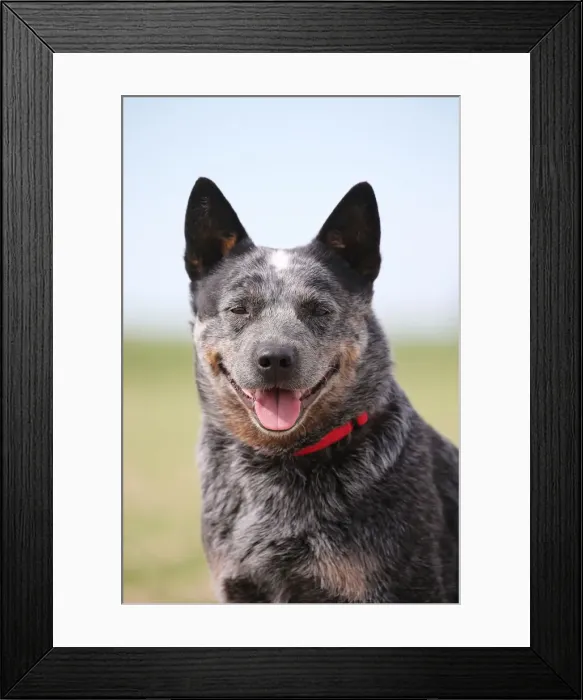 Framed Print : Picture No. 12020291 Framed Print : Picture No. 12020291