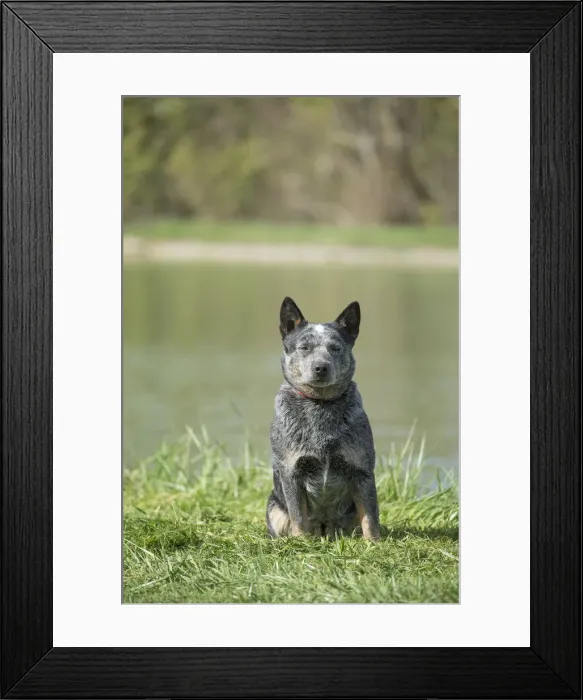 Framed Print : Picture No. 12020312 Framed Print : Picture No. 12020312