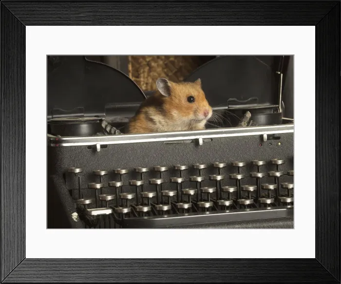 Framed Print : Picture No. 12020439 Framed Print : Picture No. 12020439