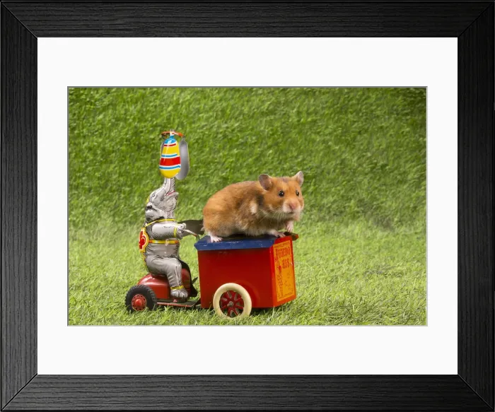Framed Print : Picture No. 12020440 Framed Print : Picture No. 12020440