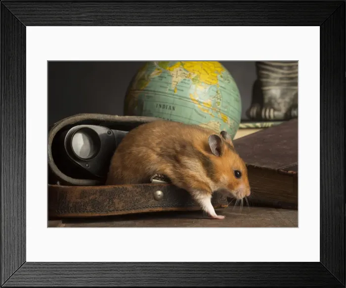 Framed Print : Picture No. 12020443 Framed Print : Picture No. 12020443