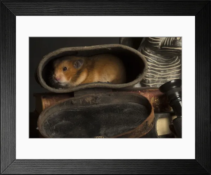 Framed Print : Picture No. 12020444 Framed Print : Picture No. 12020444
