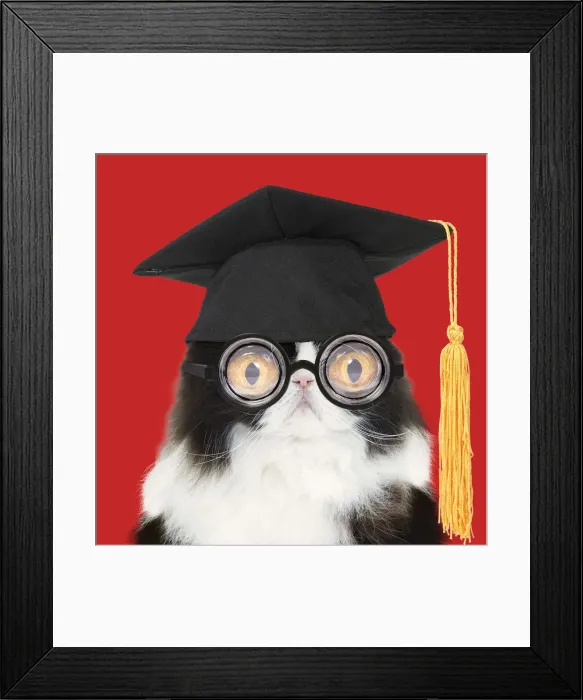 Framed Print : Picture No. 12020803 Framed Print : Picture No. 12020803