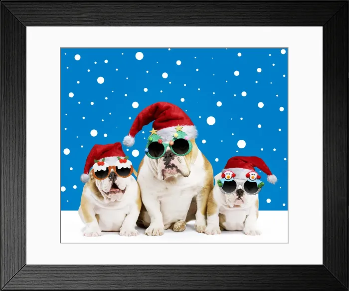 Framed Print : Picture No. 12020811 Framed Print : Picture No. 12020811
