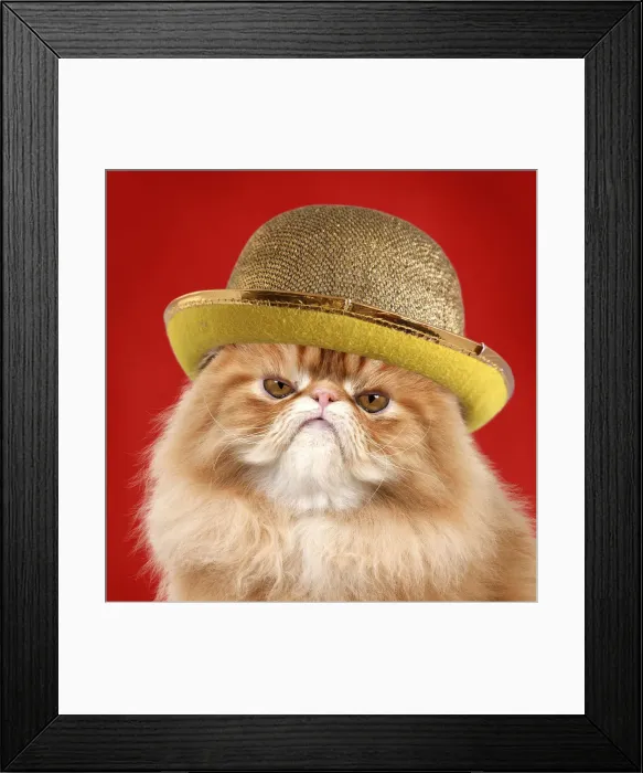Framed Print : Picture No. 12020814 Framed Print : Picture No. 12020814