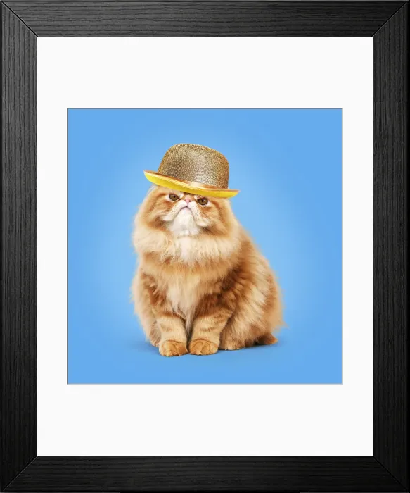 Framed Print : Picture No. 12020815 Framed Print : Picture No. 12020815