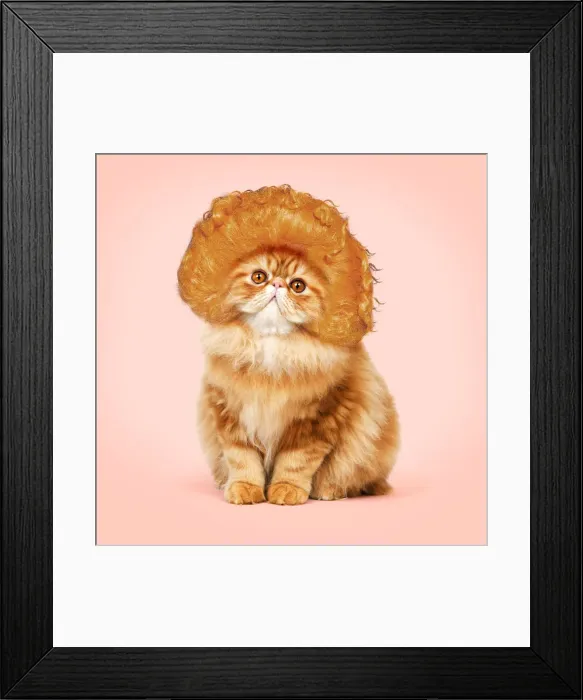 Framed Print : Picture No. 12020816 Framed Print : Picture No. 12020816