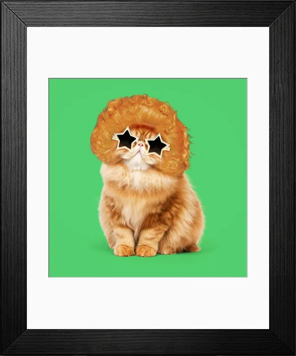 Framed Print : Picture No. 12020818 Framed Print : Picture No. 12020818