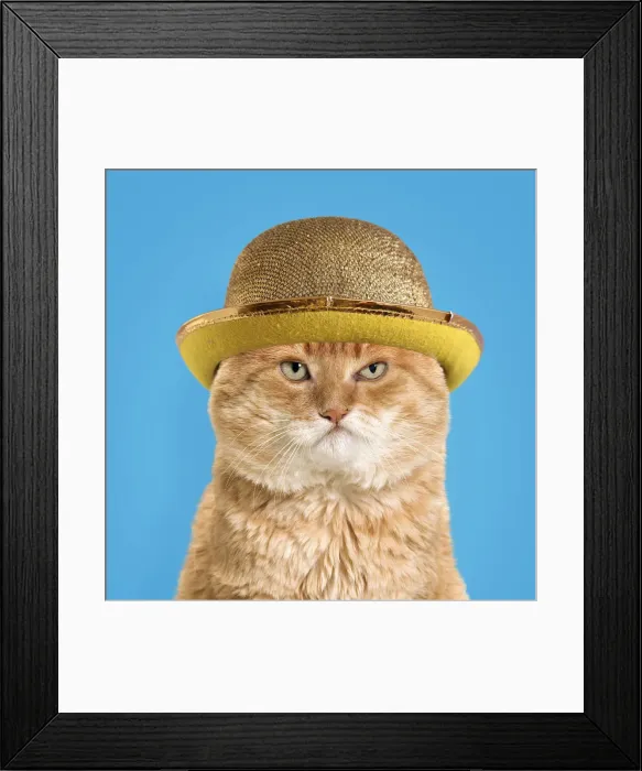 Framed Print : Picture No. 12020819 Framed Print : Picture No. 12020819