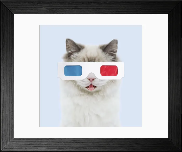 Framed Print : Picture No. 12020821 Framed Print : Picture No. 12020821