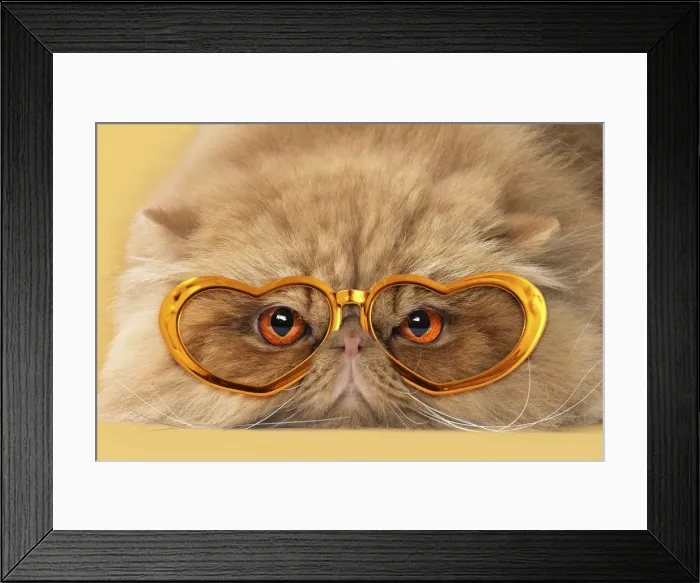 Framed Print : Picture No. 12020822 Framed Print : Picture No. 12020822
