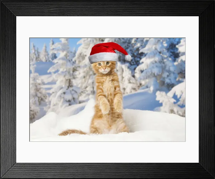 Framed Print : Picture No. 12020824 Framed Print : Picture No. 12020824