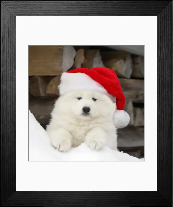 Framed Print : Picture No. 12020829 Framed Print : Picture No. 12020829
