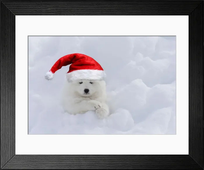 Framed Print : Picture No. 12020830 Framed Print : Picture No. 12020830