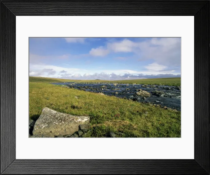 Framed Print : Arctic tundra, a typical landscape with a small river near Dikson, Russian Arctic. August. Di32. 1274 Framed Print : Arctic tundra, a typical landscape with a small river near Dikson, Russian Arctic. August. Di32. 1274