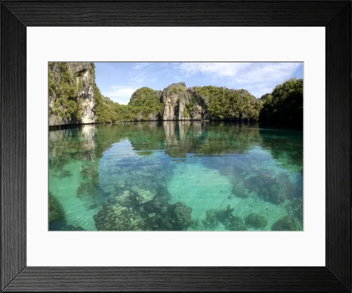 Framed Print : Corals in quiet and clear waters of a Big Lagoon of El Nido Minilok island, near El Nido Minilok resort, El Nido, Palawan, Philippines. February. Ph41. 0909