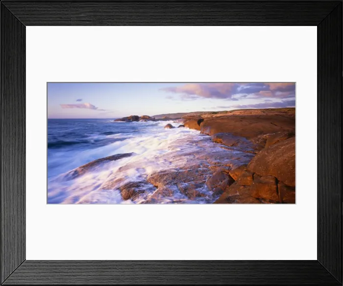 Framed Print : Australia AU 156 / JLR Cape Freycinet Leewin Naturaliste, National Park, South West, Western Australia. © Jean-Marc La Roque / ARDEA LONDON Framed Print : Australia AU 156 / JLR Cape Freycinet Leewin Naturaliste, National Park, South West, Western Australia. © Jean-Marc La Roque / ARDEA LONDON