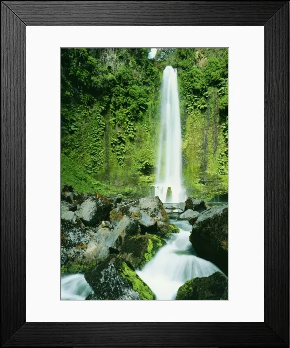 Framed Print : Chile AU 4 PLA South America, The Andes, 9th region, Tolhuaca National Park, Salto del Malleco © Jaime Plaza Van Roon  /  ARDEA LONDON