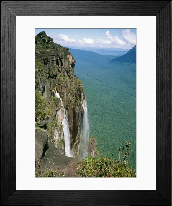 Framed Print : Venezuela AW 6542 Summit look out point, Angel Falls. © Adrian Warren / ARDEA LONDON Framed Print : Venezuela AW 6542 Summit look out point, Angel Falls. © Adrian Warren / ARDEA LONDON