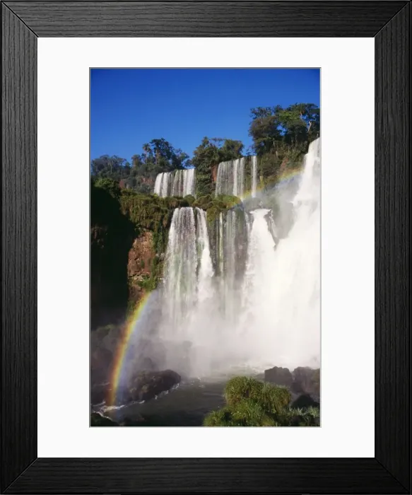 Framed Print : Argentina BLT 384 Iguazu falls, Subtropical Rainforest, Misiones Province. © Yves Bilat / ARDEA LONDON Framed Print : Argentina BLT 384 Iguazu falls, Subtropical Rainforest, Misiones Province. © Yves Bilat / ARDEA LONDON