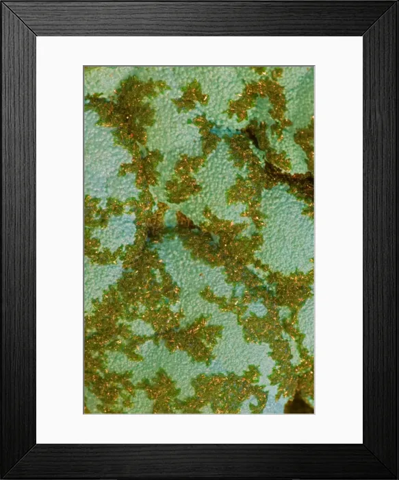 Framed Print : Malachite on Chrysocolla - Close-up of mineral specimen - Congo - Africa Framed Print : Malachite on Chrysocolla - Close-up of mineral specimen - Congo - Africa