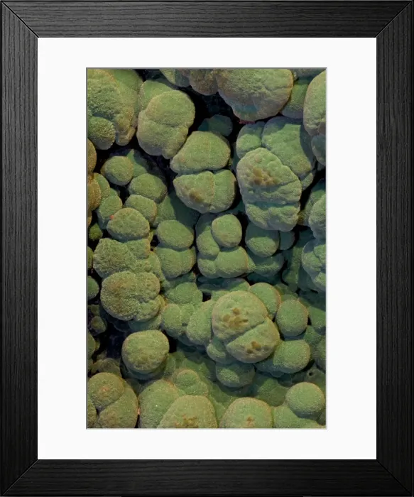 Framed Print : Malachite Close-up - Arizona USA Framed Print : Malachite Close-up - Arizona USA
