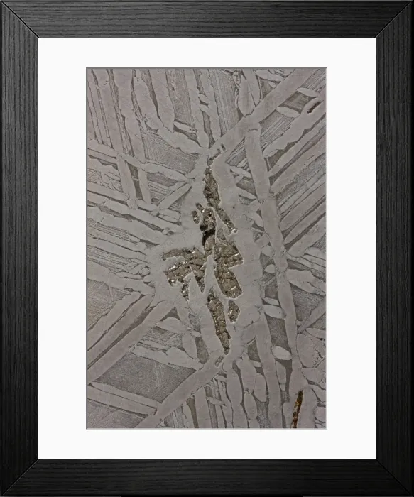 Framed Print : Seymchan Meteorite Cross-section - St. Petersburg Paleontological Lab - Russia Framed Print : Seymchan Meteorite Cross-section - St. Petersburg Paleontological Lab - Russia