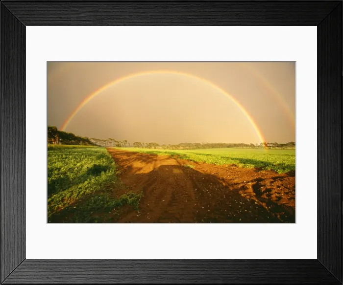 Framed Print : Rainbow CK 2850 In Breckland Norfolk © Chris Knights / ARDEA LONDON Framed Print : Rainbow CK 2850 In Breckland Norfolk © Chris Knights / ARDEA LONDON