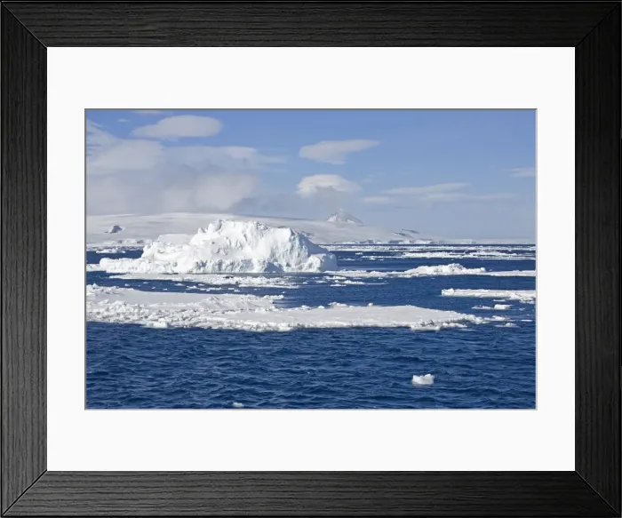 Framed Print : Ice scenics - With iceberg and ice floes - Antarctic, October Framed Print : Ice scenics - With iceberg and ice floes - Antarctic, October