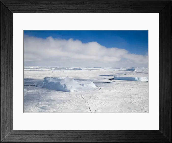 Framed Print : Weddell Sea with Icebergs frozen fom last summer and cracks appearing in October springtime, Antarctic Framed Print : Weddell Sea with Icebergs frozen fom last summer and cracks appearing in October springtime, Antarctic