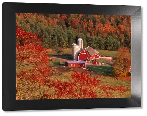 USA - autumn farm scene Northern Vermont, USA