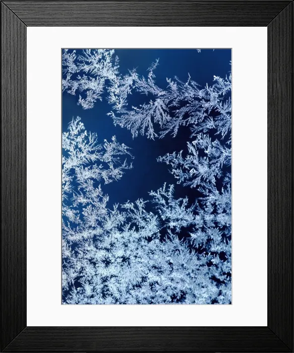 Framed Print : Frost on Glass. Crystals of frozen condensation form on glass when temperatures drop to freezing Framed Print : Frost on Glass. Crystals of frozen condensation form on glass when temperatures drop to freezing