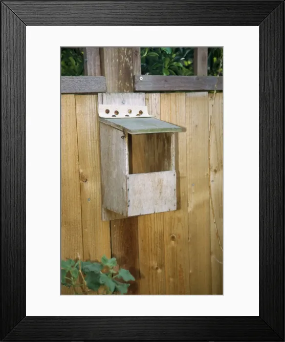 Framed Print : Nest Box - open front Framed Print : Nest Box - open front
