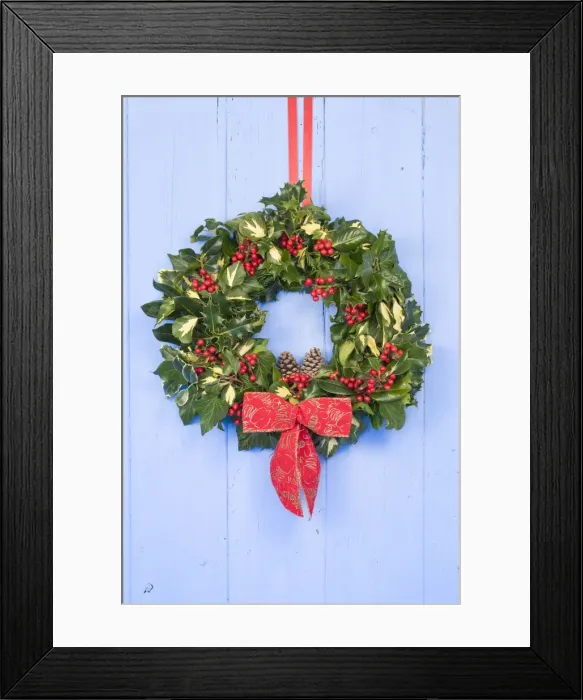 Framed Print : Christmas Wreath on old blue painted wooden door Framed Print : Christmas Wreath on old blue painted wooden door