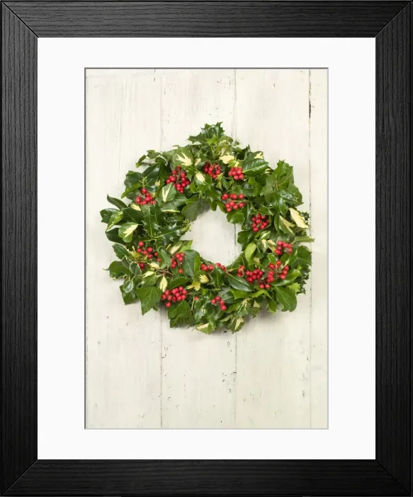 Framed Print : Christmas Wreath on old white painted door Framed Print : Christmas Wreath on old white painted door