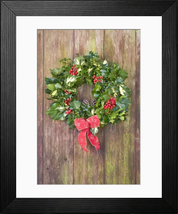 Framed Print : Christmas Wreath on old wooden door Framed Print : Christmas Wreath on old wooden door
