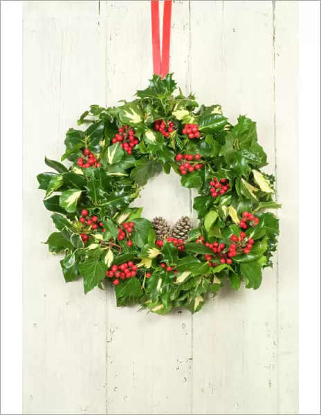 Christmas Wreath on old white painted door