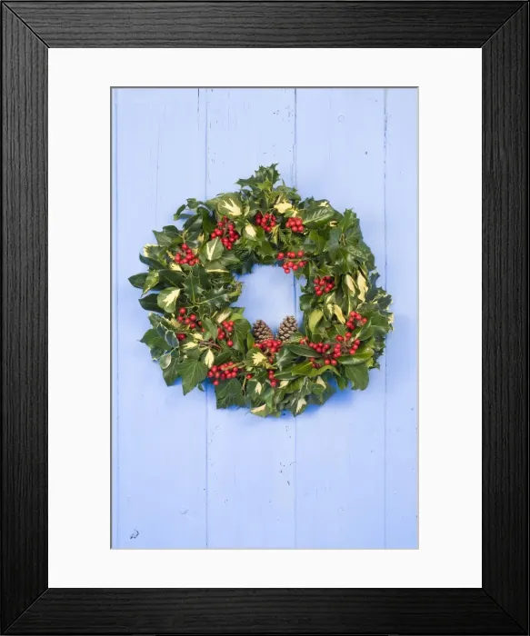 Framed Print : Christmas Wreath on old blue painted wooden door