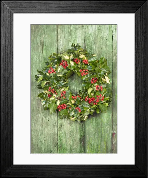 Framed Print : Christmas Wreath on old wooden door Digitla Manipulation: turned door green Framed Print : Christmas Wreath on old wooden door Digitla Manipulation: turned door green