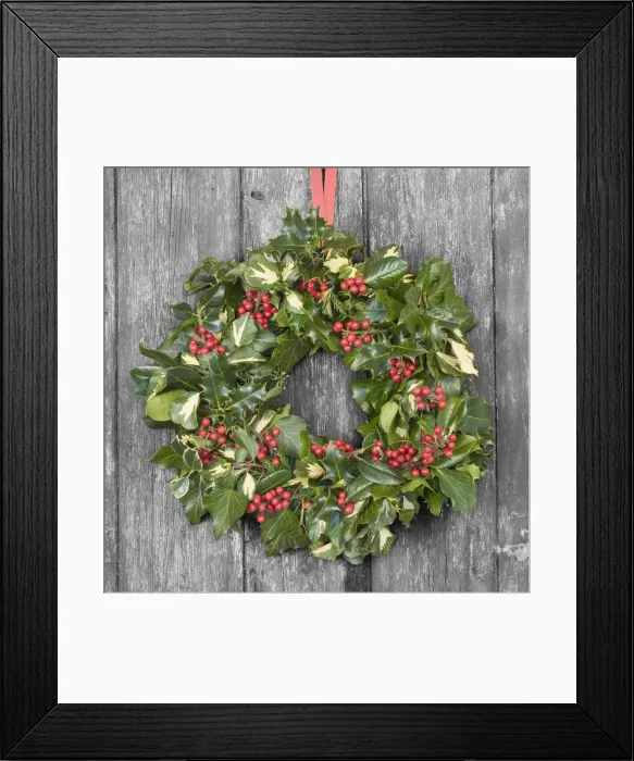Framed Print : Christmas Wreath on old wooden door Digital Manipulation: door to B&W Framed Print : Christmas Wreath on old wooden door Digital Manipulation: door to B&W