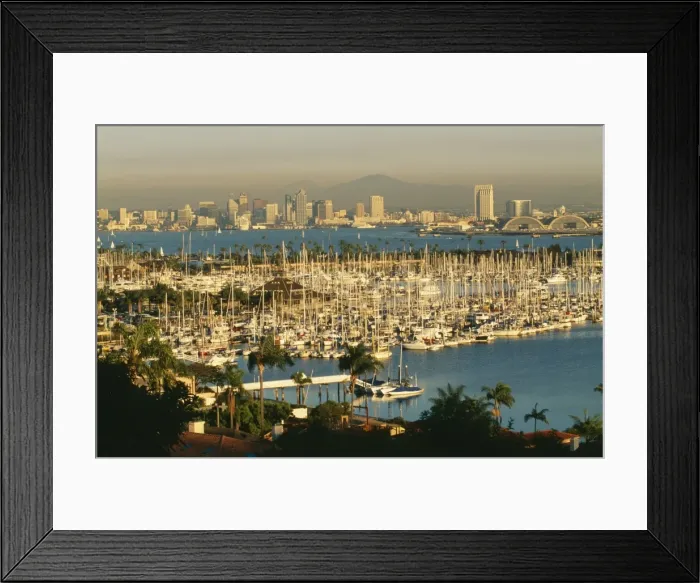 Framed Print : USA FG 11419 Shelter Island & San Diego skyline, San Diego California. © Francois Gohier / ARDEA LONDON Framed Print : USA FG 11419 Shelter Island & San Diego skyline, San Diego California. © Francois Gohier / ARDEA LONDON